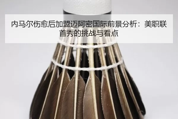 nei-ma-er-shang-yu-hou-jia-meng-mai-a-mi-guo-ji-qian-jing-fen-xi-mei-zhi-lian-shou-xiu-de-tiao-zhan-yu-kan-dian-3-680.jpg