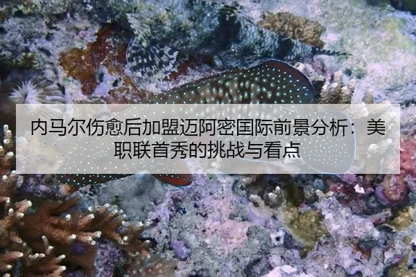 内马尔伤愈后加盟迈阿密国际前景分析：美职联首秀的挑战与看点